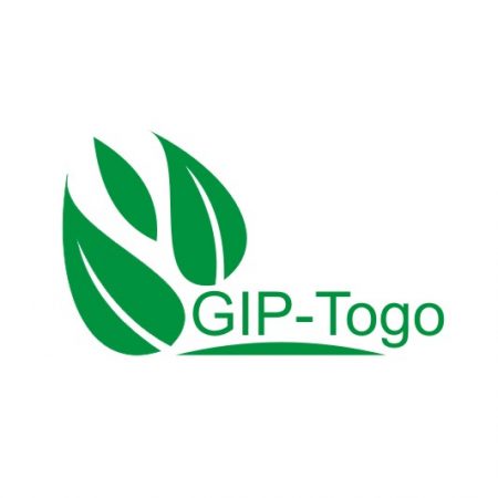 Logo GIP-TOGO